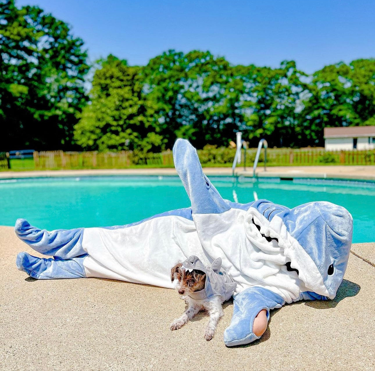 DealSpace™ Blanket